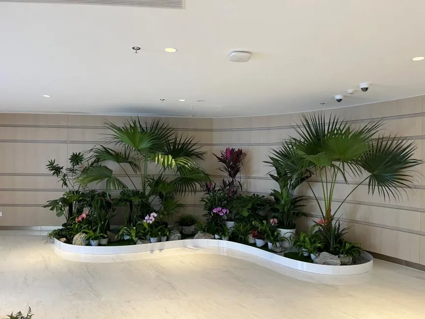 宁波余姚花卉出租设计